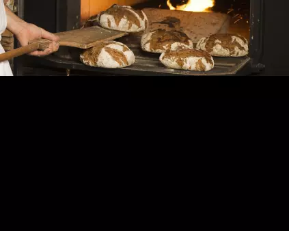 un boulanger qui met du pain dans son four pour illustrer l'expertise d'accompagnement de Cerfrance dans les métiers de l'artisanat